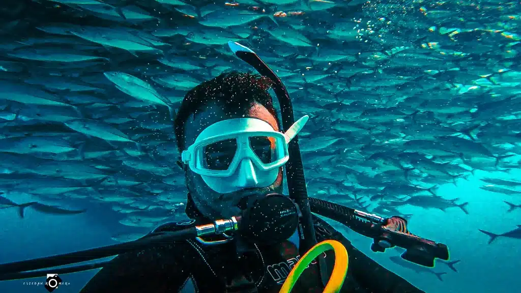 Underwater Photography